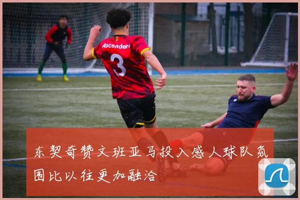 东契奇赞文班亚马投入感人球队氛围比以往更加融洽