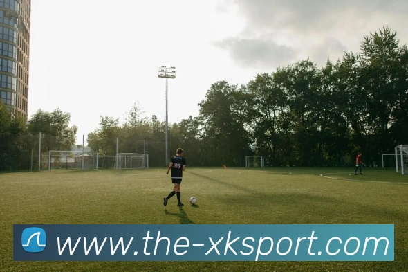 多媒体互动体验