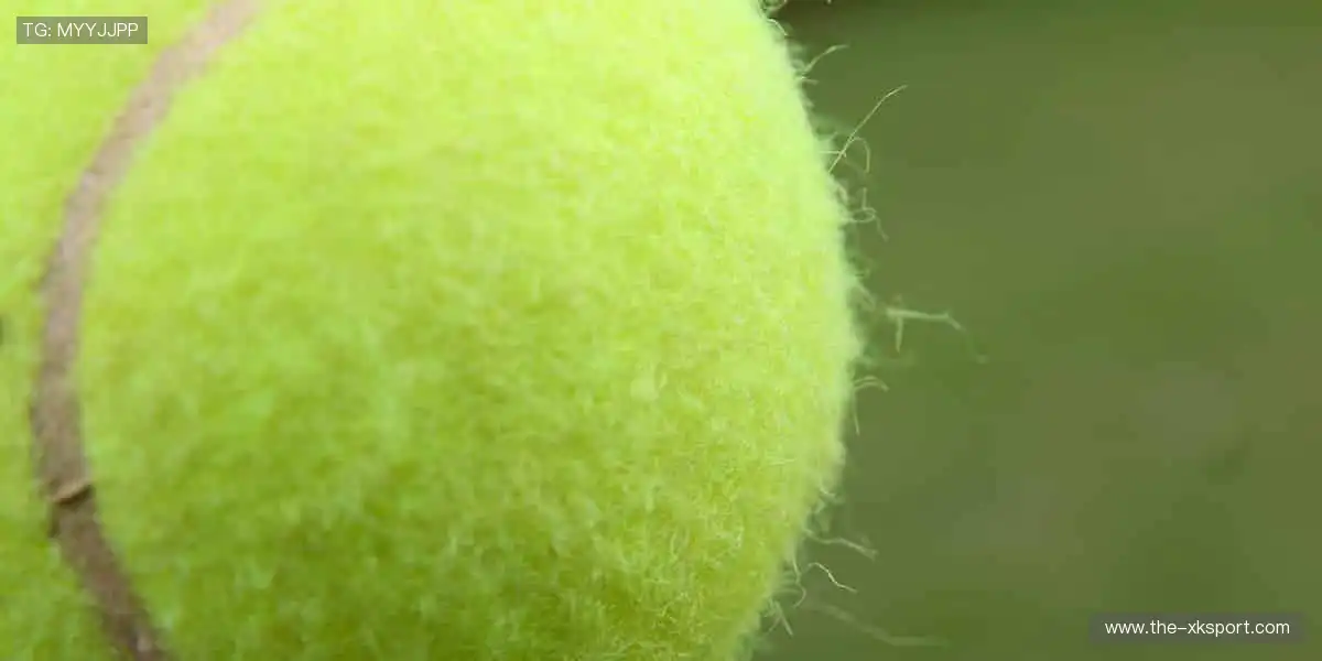 🏆见证荣耀时刻，热血永不落幕！🔥